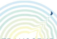 Transcendenca (Scott Barry Kaufman)